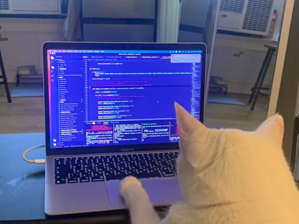 AI VS Programmer